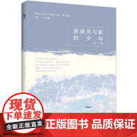 追逐光与影的少年