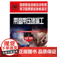 带温带压堵漏工(高级 技师)——国家职业资格培训教程