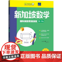 新加坡数学国际奥数思维训练. 13-14岁