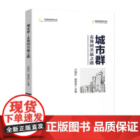 城市群:走协同共赢之路(中国宏观经济丛书)