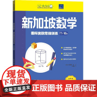 新加坡数学国际奥数思维训练.17-18岁
