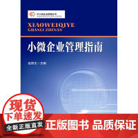 中小微企业管理丛书:小微企业管理指南