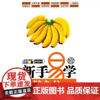 新手易学——电脑办公