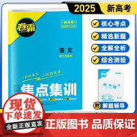 [金太阳教育2025新版] 焦点集训语文 高中高考考点集训高考一二轮总复习试卷资料