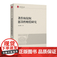 著作权侵权惩罚性赔偿研究
