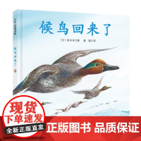 候鸟回来了(铃木守迁徙动物记系列)