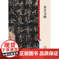 彩色放大本中国碑帖·善才寺碑
