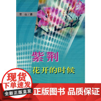 紫荆 花开的时候