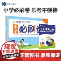 2024版理想树小学必刷卷二年级下册 数学 同步单元测试卷期中期末模拟冲刺卷专项辅导 北师版