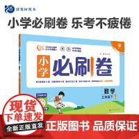 2024版理想树小学必刷卷三年级下册 数学 同步单元测试卷期中期末模拟冲刺卷专项辅导 苏教版