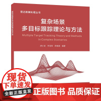 复杂场景多目标跟踪理论与方法