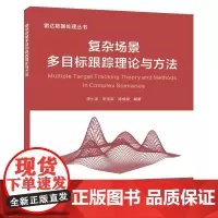 复杂场景多目标跟踪理论与方法