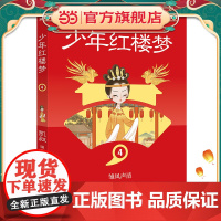少年红楼梦4