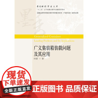 广义集装箱装载问题及其应用