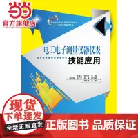 电工电子测量仪器仪表技能应用.王国玉 主编/9787121284298电子工业出版社