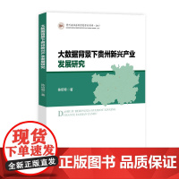 大数据背景下贵州新兴产业发展研究