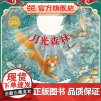 绘本花园:月光森林(精)(新版)
