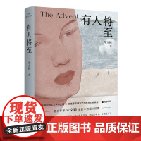 有人将至 朱文颖 江苏凤凰文艺出版社 正版书籍