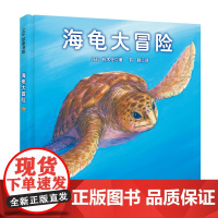 正版童书 海龟大冒险(铃木守迁徙动物记系列)