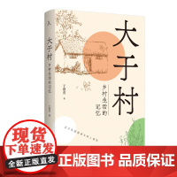 原乡人书系·大于村:乡村生活的记忆