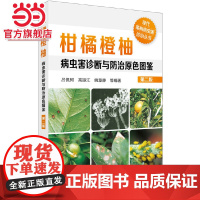 现代果树病虫害诊治丛书--柑橘橙柚病虫害诊断与防治原色图鉴(第二版) 吕佩珂 化学工业出版社 正版书籍