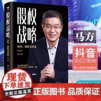 股权战略 : 架构、激励与财富 马方 著 大咖书房 台海出版社 正版书籍