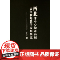 西北非中心城市高校青年教师教学发展研究(L)