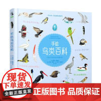 手绘鸟类百科(可以听见鸟鸣声的鸟类趣味百科)