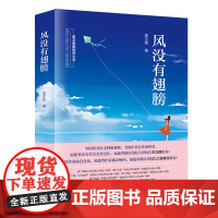 风没有翅膀