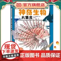 神奇生物大集合(海洋里的庞然大物都有谁?鲸类也有“左撇子”和“右撇子”?海洋科普系列)