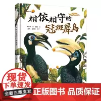 我的飞鸟朋友:相依相守的冠斑犀鸟