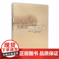 大武汉到底什么大 梁相斌 湖北人民出版社 正版书籍