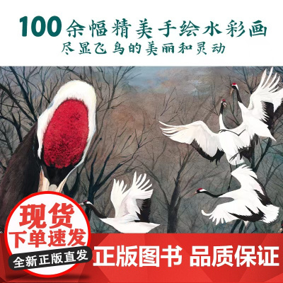 我的飞鸟朋友:的旅程