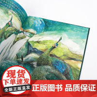 我的飞鸟朋友:寻找