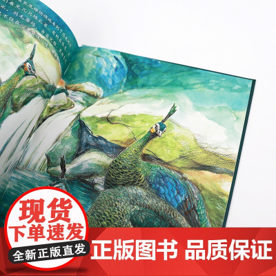 我的飞鸟朋友:寻找