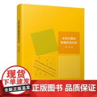 支持向量机数据扰动分析 清华大学出版社 正版书籍