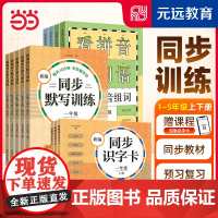 2024版小学语文新编同步默写训练&识字卡&看拼音写词语 一年级二三四五年级上册下册语文小学教辅拼音写字听写训练识字卡