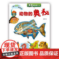 看看里面是什么·动物的奥秘