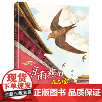 我的飞鸟朋友:北京雨燕的新家