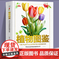 植物图鉴
