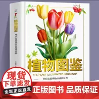 植物图鉴