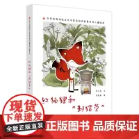 红狐狸和“刺猬草”