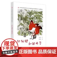 红狐狸和银丹草