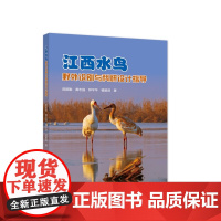 江西水鸟野外识别与科研设计指导