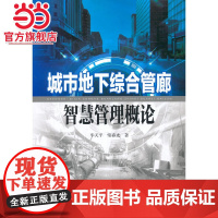 城市地下综合管廊智慧管理概论
