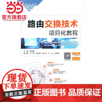 路由交换技术项目化教程(高等职业教育网络工程课程群规划教材)