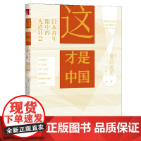 这才是中国!??日本青年眼中的先进社会