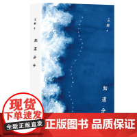 知道分子(2024年平装,王朔随笔集 批评成风,流言才不会有空间。) 预计发货03.29