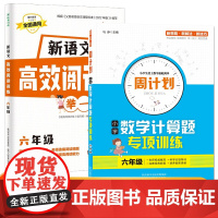 六年级新语文高效阅读训练+周计划小学数学计算题专项训练全2册 小学语文课外阅读理解答题技巧专项训练 数学应用题强化训练教