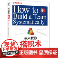 我来教你搭积木:500强企业的团队系统化构建之道 韩增海 北京大学出版社 正版书籍